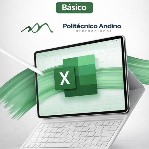 Ficha excel