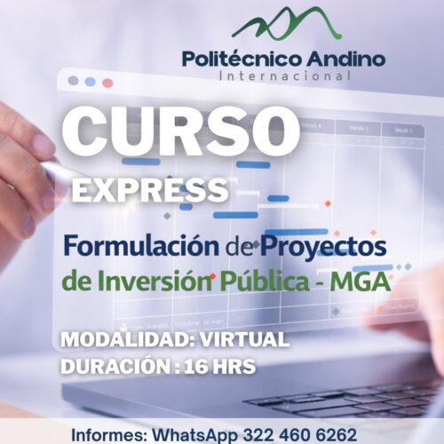 Ficha Inversión Pública