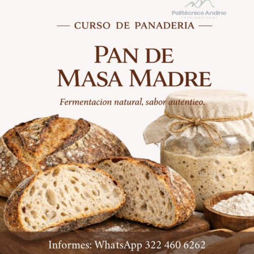 Ficha Masa Madre